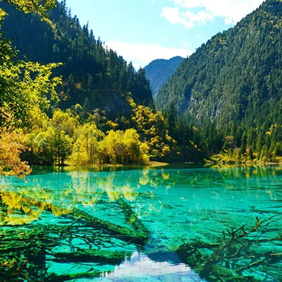 Springtime Reflections: Jiuzhaigou’s Mirror Lakes