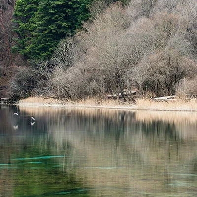 Jiuzhaigou’s Visitor Center – Helpful or Just Crowded?