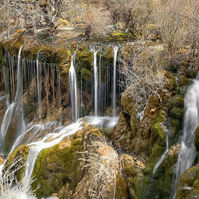 Jiuzhaigou’s Wildlife: What to Spot in 2024